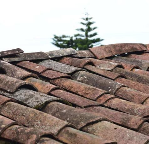 Should You Paint Your Roof Shingles? Pros, Cons, and How-To