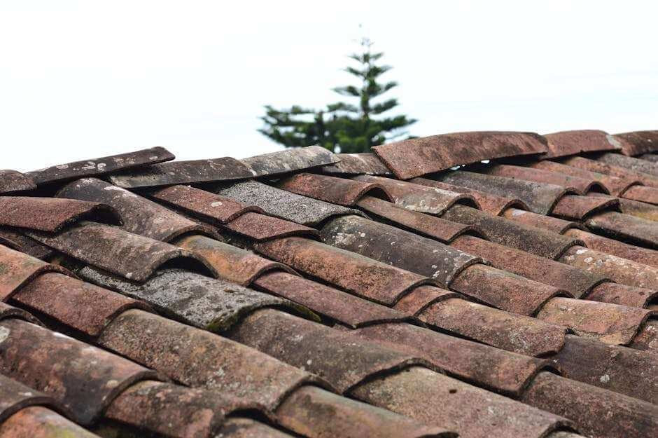 Should You Paint Your Roof Shingles? Pros, Cons, and How-To