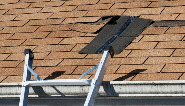 Roof Leak Repair Contractors: Your Ultimate Guide to Finding the Best in NJ